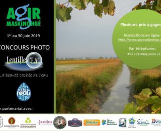 Concours photo Lentille d’eau