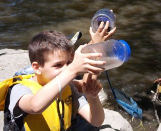 Chasse aux bébittes aquatiques